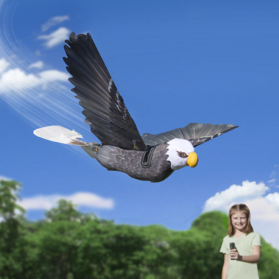 RC-Realistic-Flying-Eagle
